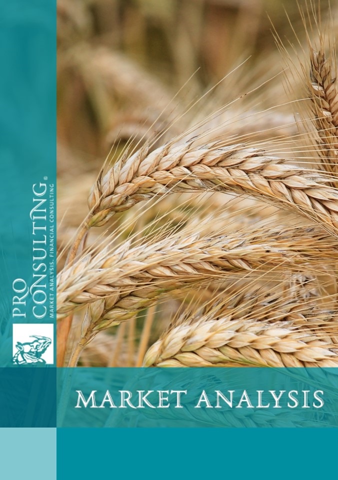 Market research report on wheat processing products in Azerbaijan, Turkmenistan, Armenia, Kazakhstan and Turkey. 2024 year